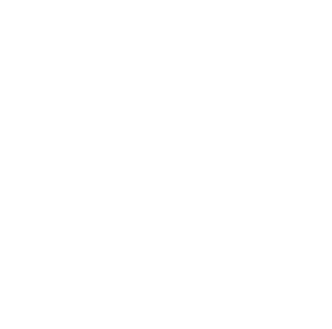 Timberfalls logo